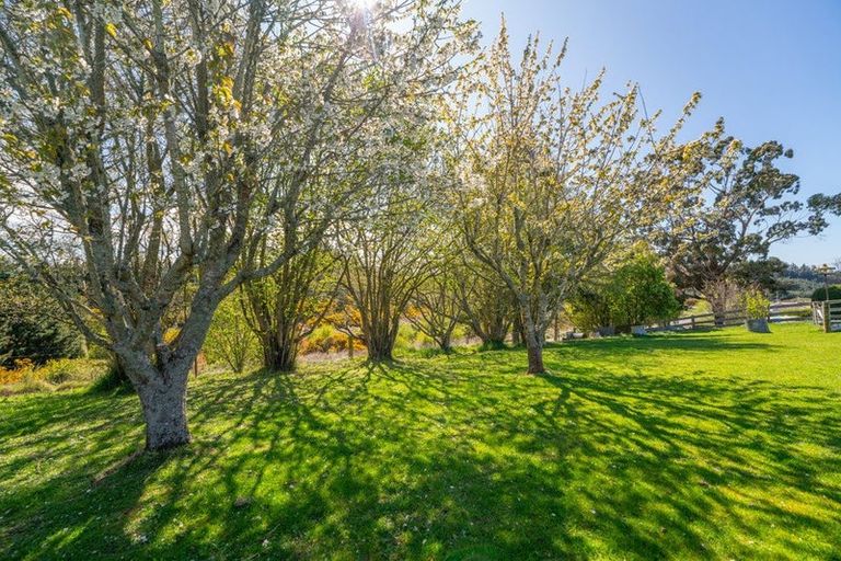 Photo of property in 15 Easons Road, Hampden, 9410