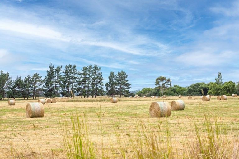 Photo of property in 77 Taumata Island Road, Taumata Island, Carterton, 5792