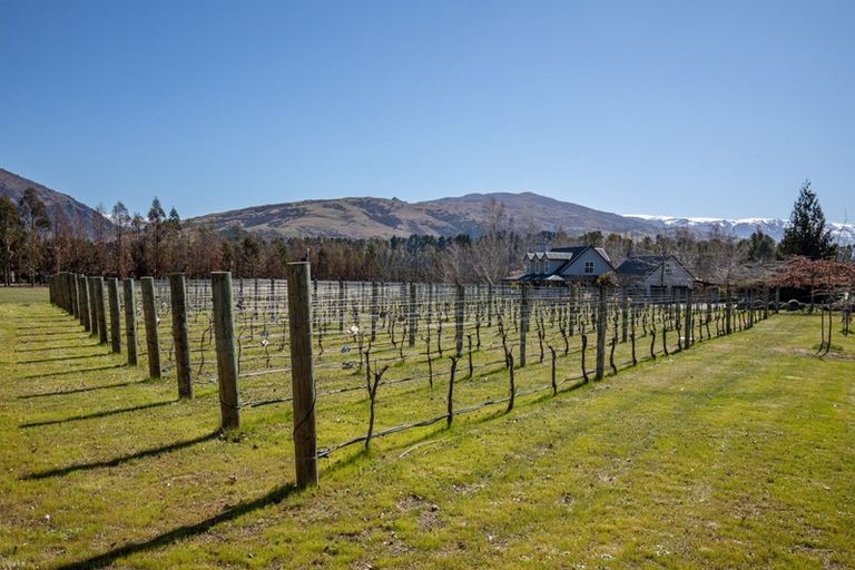 Photo of property in 141 Pearson Road, Cromwell, 9384