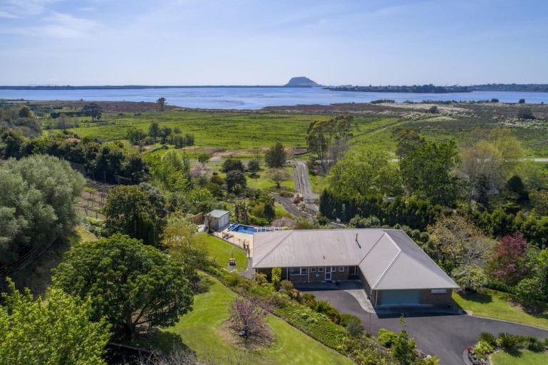 Photo of property in 158 Lochhead Road, Te Puna, Tauranga, 3176