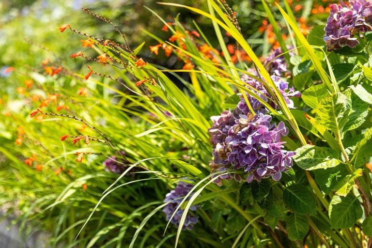 Photo of property in 252b Grange Road, Otumoetai, Tauranga, 3110