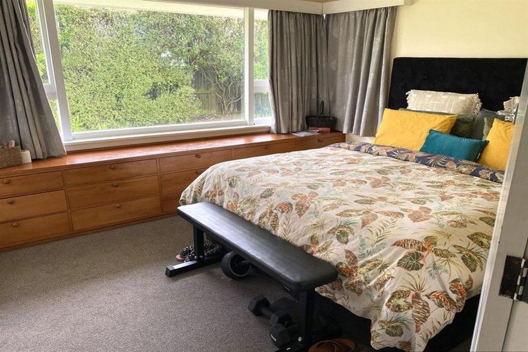 Photo of property in 19 Rutland Street, St Albans, Christchurch, 8014