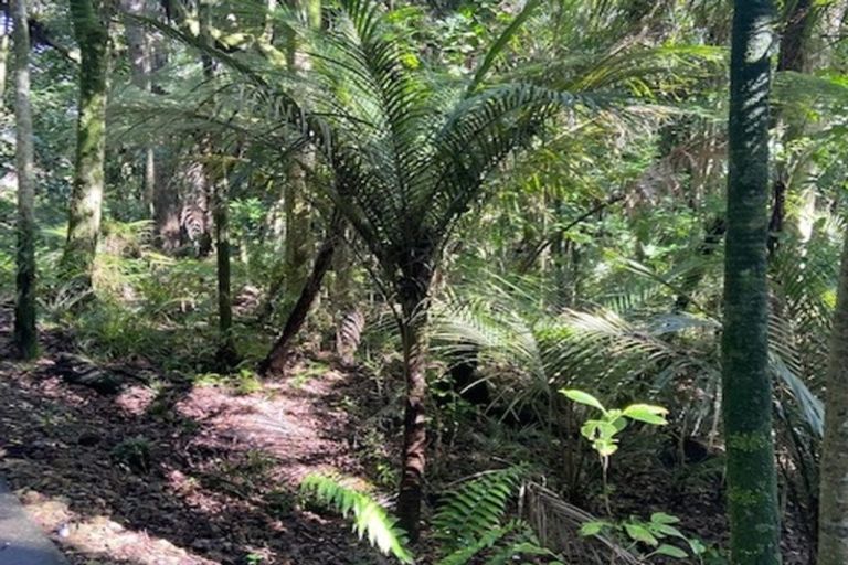 Photo of property in 480 Ponga Road, Opaheke, Papakura, 2584