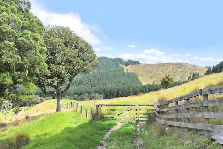 Photo of property in 121 Guy Road, Kaipara Flats, Warkworth, 0981