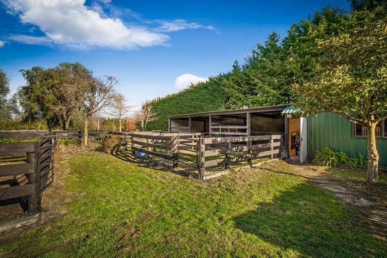 Photo of property in 36 Torlesse Road, West Melton, Christchurch, 7671