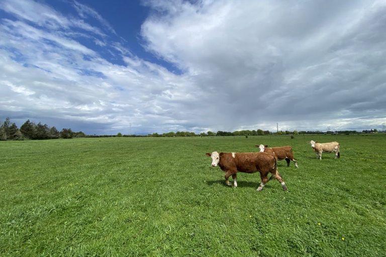 Photo of property in 104 Taplin Road, Tamahere, Hamilton, 3493