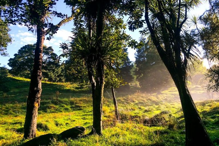 Photo of property in 362a Cemetery Road, Maunu, Whangarei, 0179