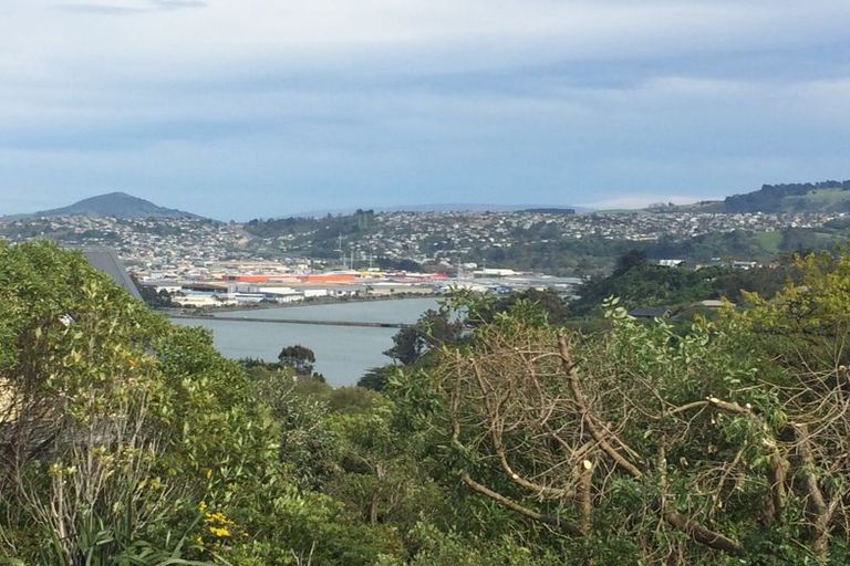 Photo of property in 69 Every Street, Andersons Bay, Dunedin, 9013