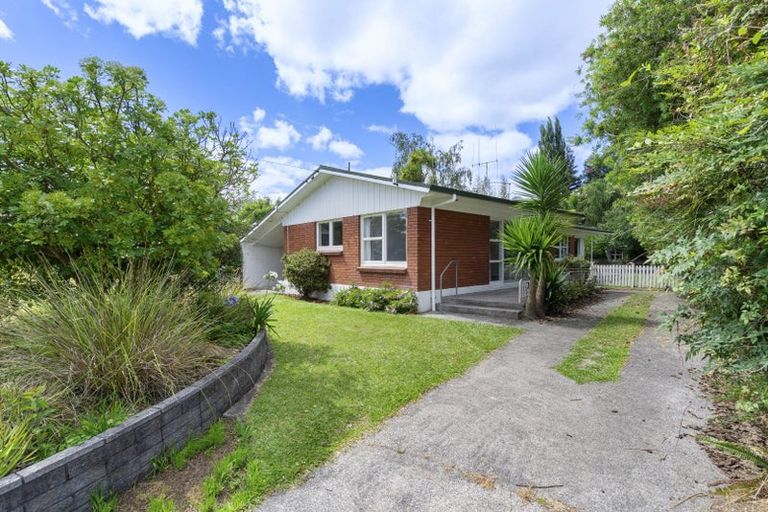 Photo of property in 24 Wake Street, Chartwell, Hamilton, 3210