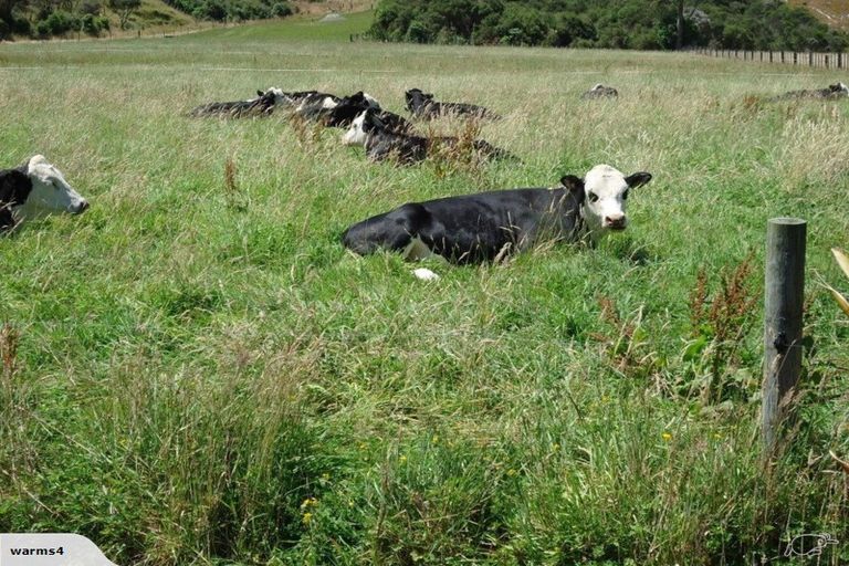 Photo of property in 964 Whitemans Valley Road, Whitemans Valley, Upper Hutt, 5371