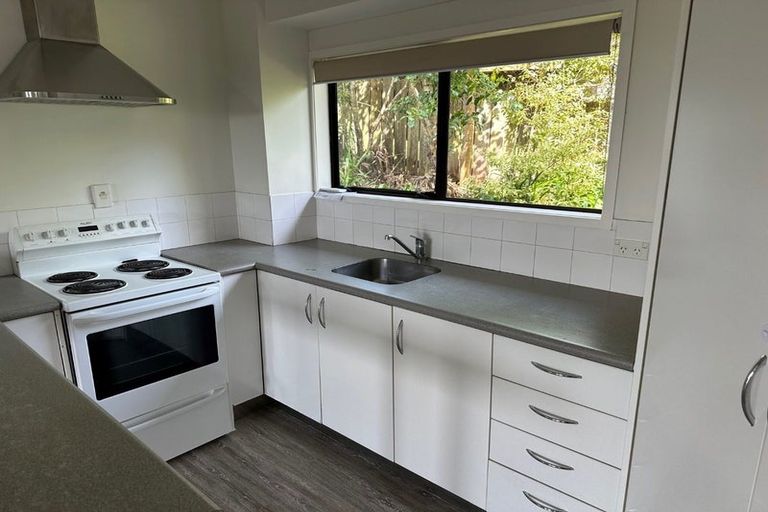 Photo of property in 111 Stott Avenue, Birkdale, Auckland, 0626