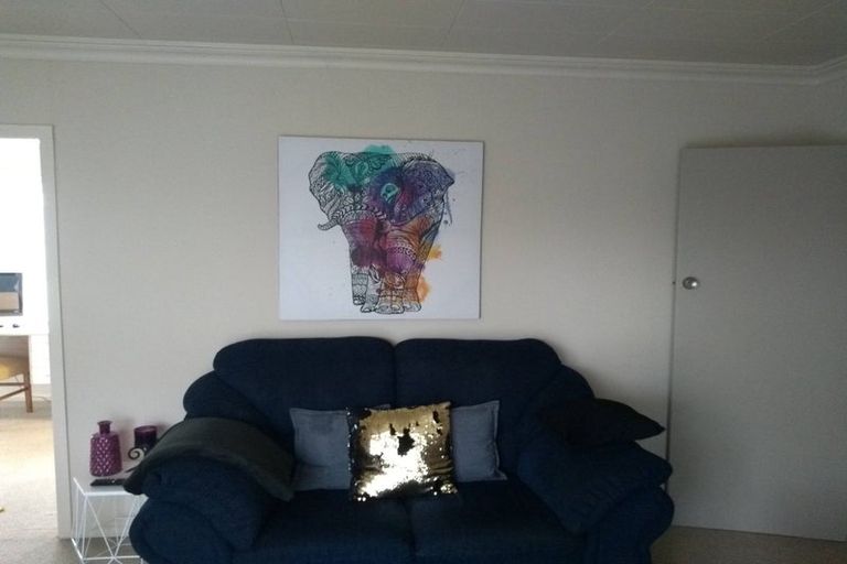 Photo of property in 50 Wilton Street, Levin, 5510