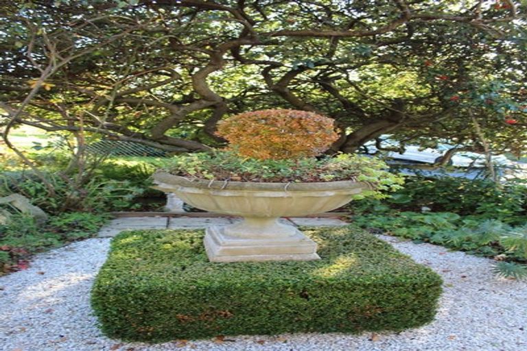 Photo of property in 57 Silverton Street, Andersons Bay, Dunedin, 9013