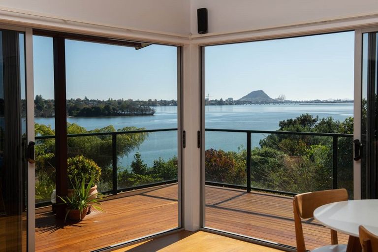 Photo of property in 48 Vine Avenue, Maungatapu, Tauranga, 3112