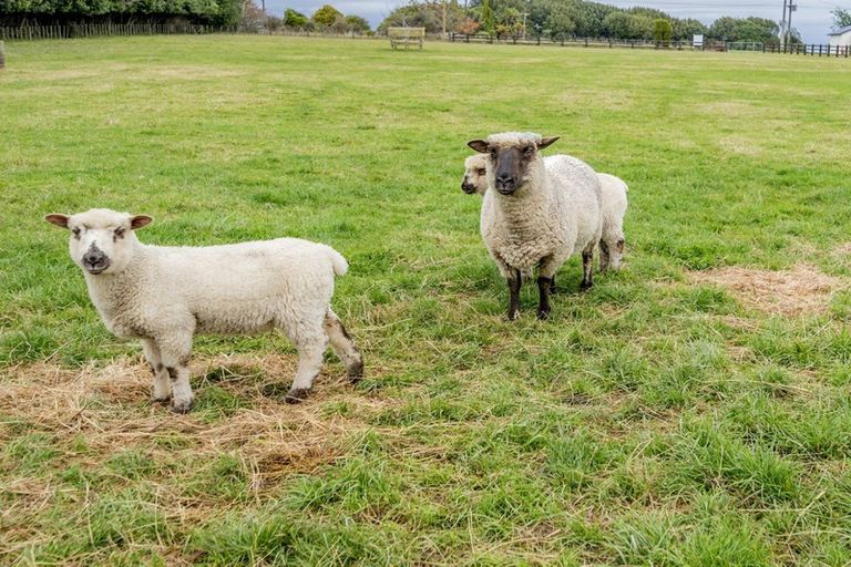 Photo of property in 126 Lindsay Road, Whatawhata, Hamilton, 3289