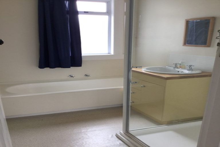 Photo of property in 56 Limbrick Street, Terrace End, Palmerston North, 4410