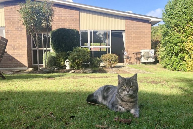 Photo of property in 197 Highcliff Road, Shiel Hill, Dunedin, 9013