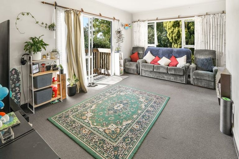 Photo of property in 23 Hinau Street, Maeroa, Hamilton, 3200