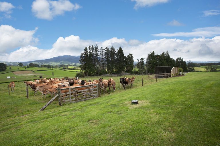 Photo of property in 109 Anderson Road, Ngahinapouri, Te Awamutu, 3876
