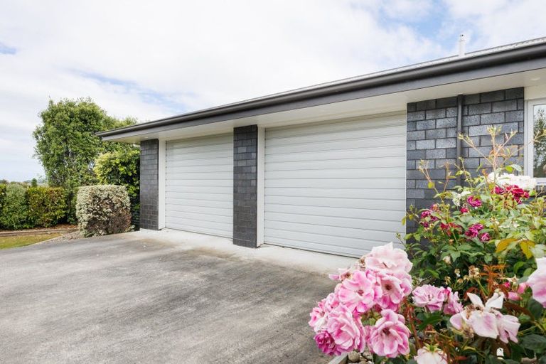Photo of property in 271 Reid Line East, Aorangi, Feilding, 4775