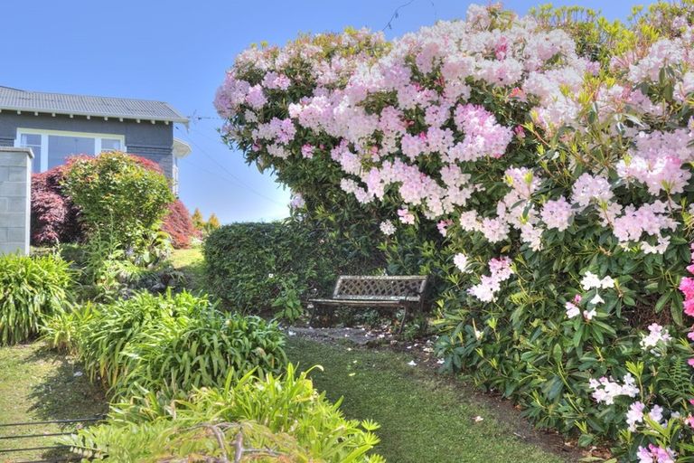 Photo of property in 67 Brockville Road, Glenross, Dunedin, 9011