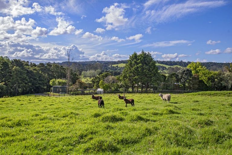 Photo of property in 177 Mclennan Road, Whakapara, Hikurangi, 0182