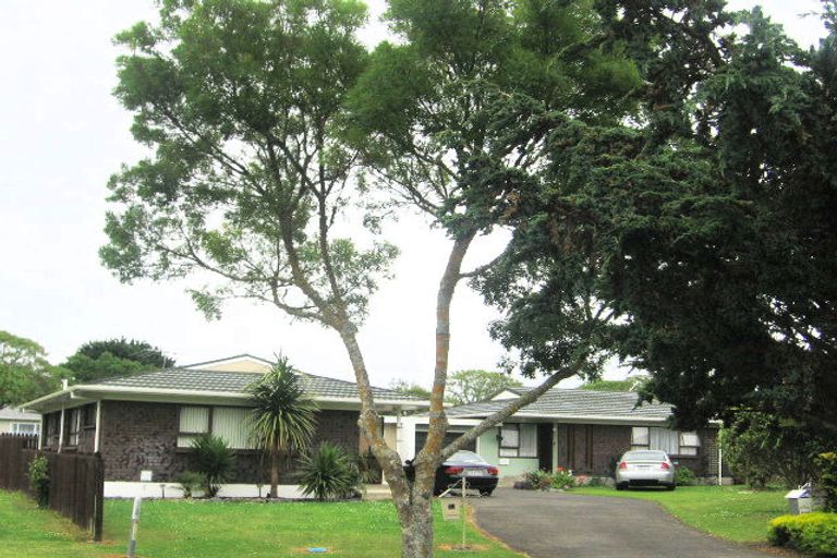 Photo of property in 3 Lionel Sharp Place, Pukekohe, 2120