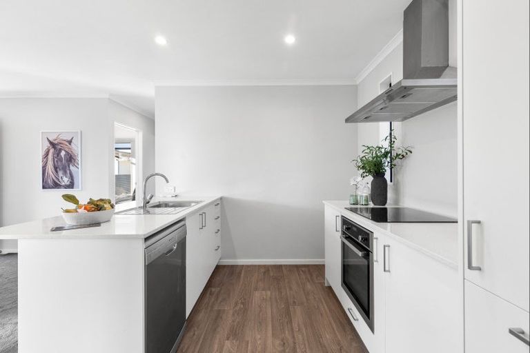 Photo of property in 24a Drake Street, Awapuni, Palmerston North, 4412