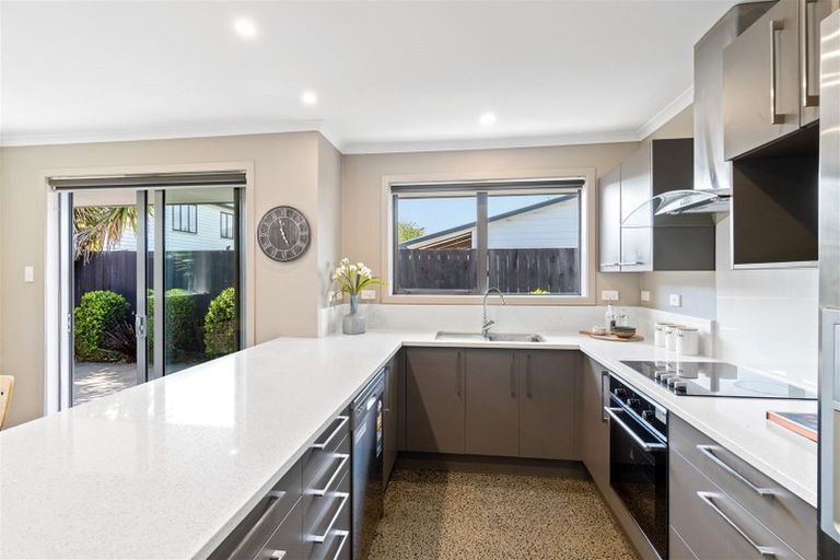 Photo of property in 117a Jerrold Street North, Addington, Christchurch, 8024