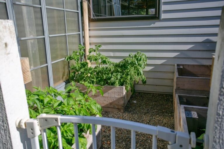 Photo of property in 6 Hulme Place, Leamington, Cambridge, 3432