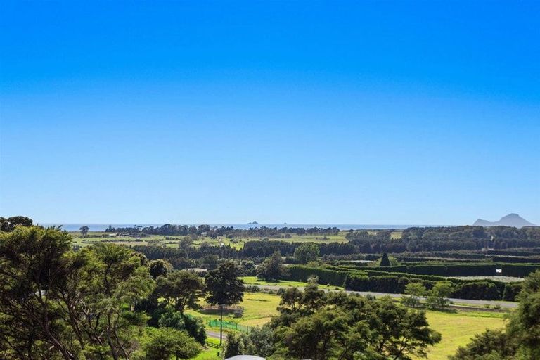 Photo of property in 3 Kereru Lane, Matata, 3194