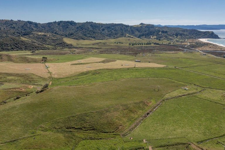 Photo of property in 550 Black Jack Road, Opito Bay, Whitianga, 3592