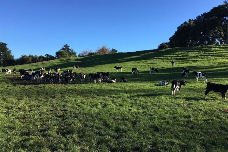 Photo of property in 224 Whakamara Road, Manutahi, Hawera, 4672