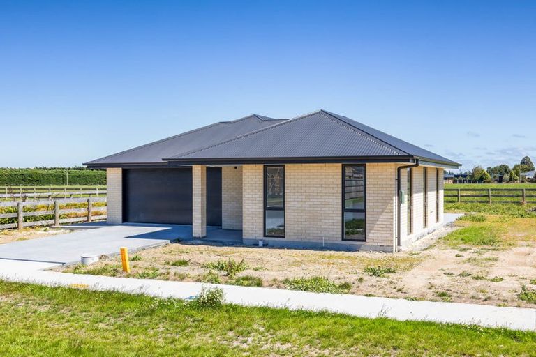 Photo of property in 20 Plover Avenue, Amberley, 7410