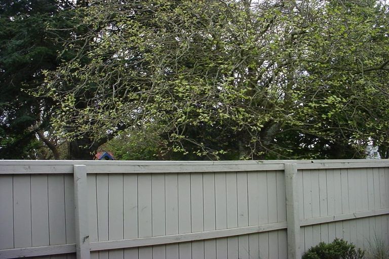 Photo of property in 40 Thackeray Place, Waltham, Christchurch, 8023