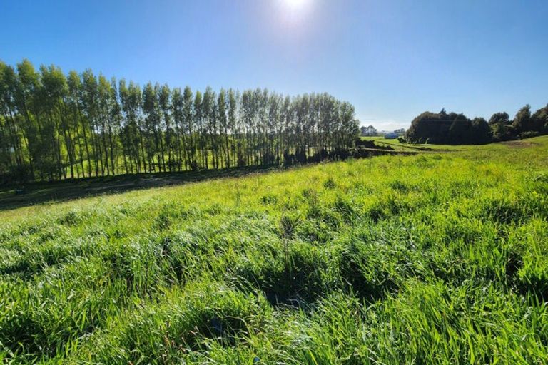 Photo of property in 114 Dudley Road Upper, Inglewood, 4386