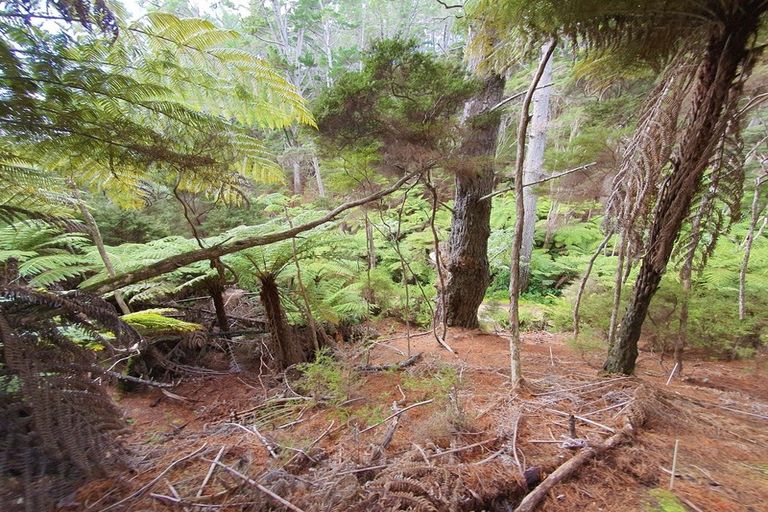 Photo of property in 12 Lavinia Place, Kawau Island, 0920