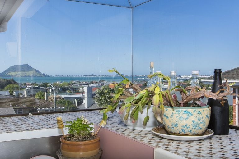 Photo of property in 21b Seaview Road, Otumoetai, Tauranga, 3110