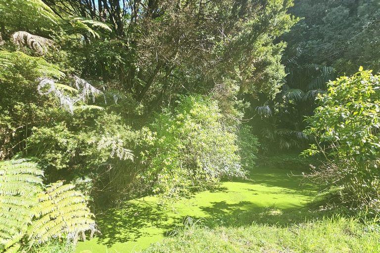 Photo of property in 5 Yarborough Street, Kohukohu, 0491