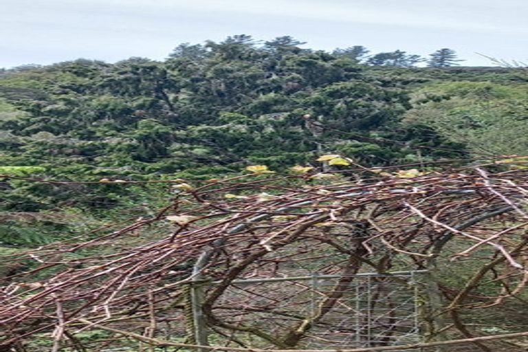 Photo of property in 49 John Street, Stokes Valley, Lower Hutt, 5019