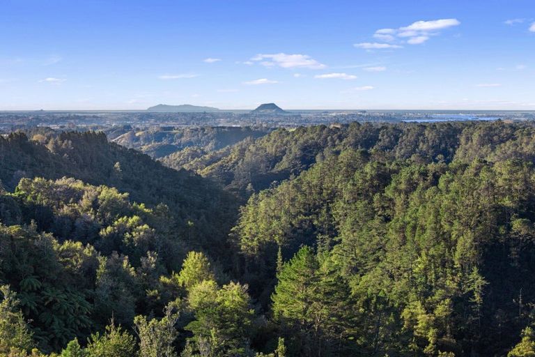 Photo of property in 790 Belk Road, Omanawa, Tauranga, 3171