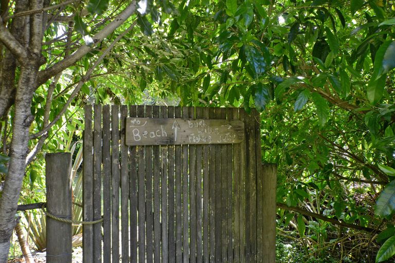 Photo of property in 46 Reotahi Road, Whangarei Heads, Whangarei, 0174