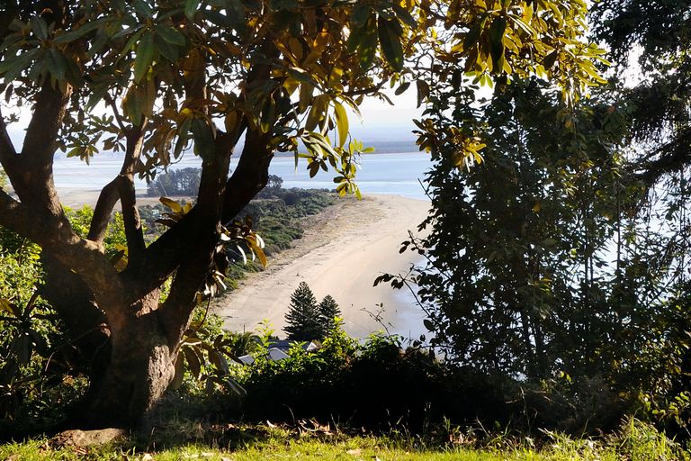 Photo of property in 1 Moncrieff Avenue, Britannia Heights, Nelson, 7010