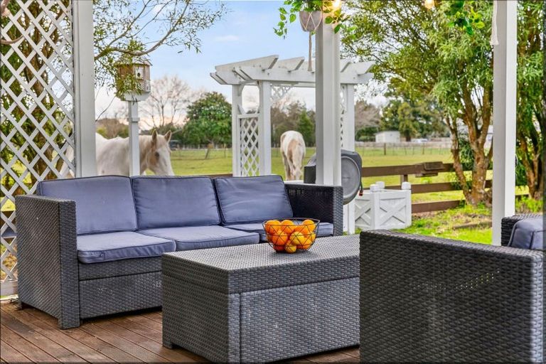 Photo of property in 203 Lamb Street, Leamington, Cambridge, 3432