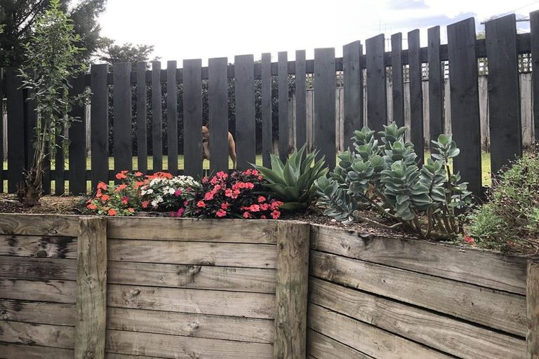 Photo of property in 3 Ridgeway Drive, Te Kamo, Whangarei, 0112