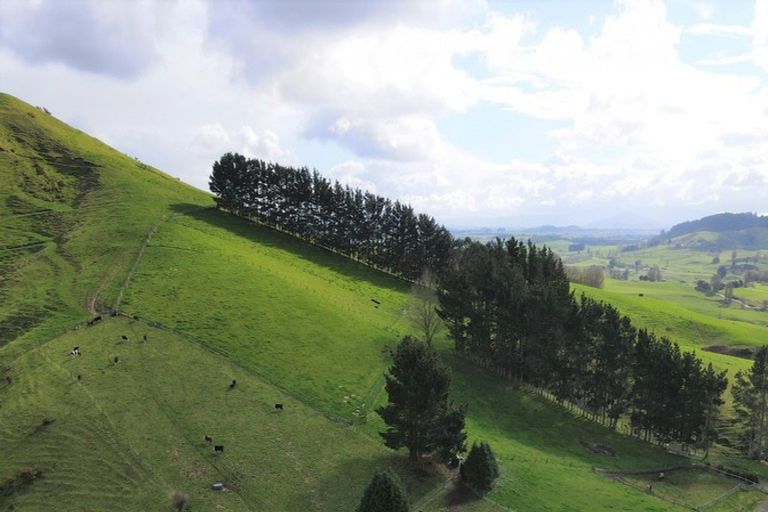 Photo of property in 650 Bayley Road, Wharepuhunga, Te Awamutu, 3873