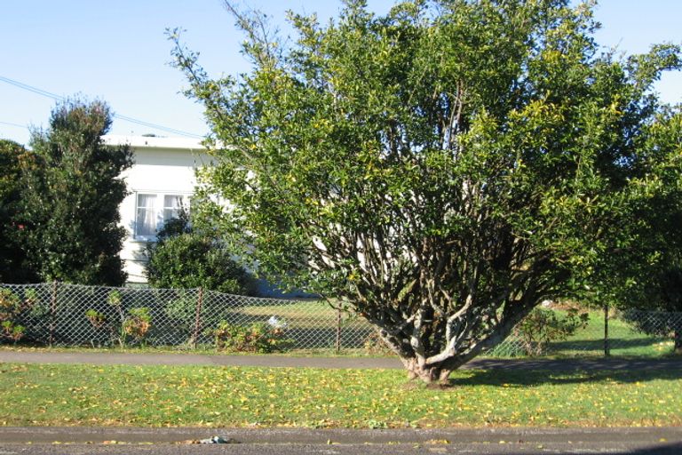 Photo of property in 119 Old Wairoa Road, Papakura, 2110