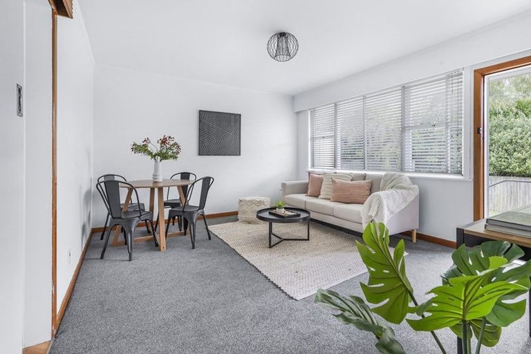 Photo of property in 58a Firth Street, Hamilton East, Hamilton, 3216