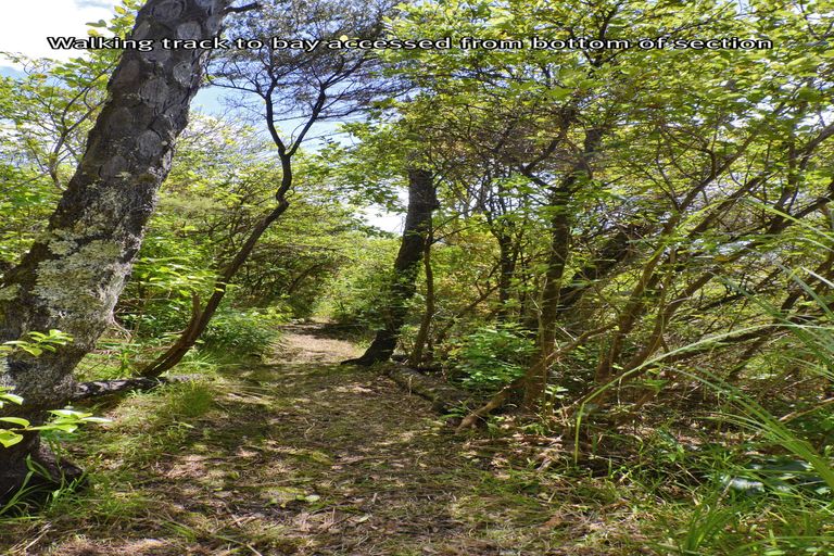 Photo of property in 46 Reotahi Road, Whangarei Heads, Whangarei, 0174