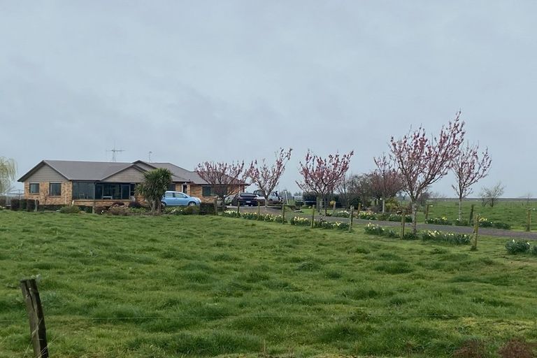 Photo of property in 599 Wallace Road, Ohaupo, Cambridge, 3495